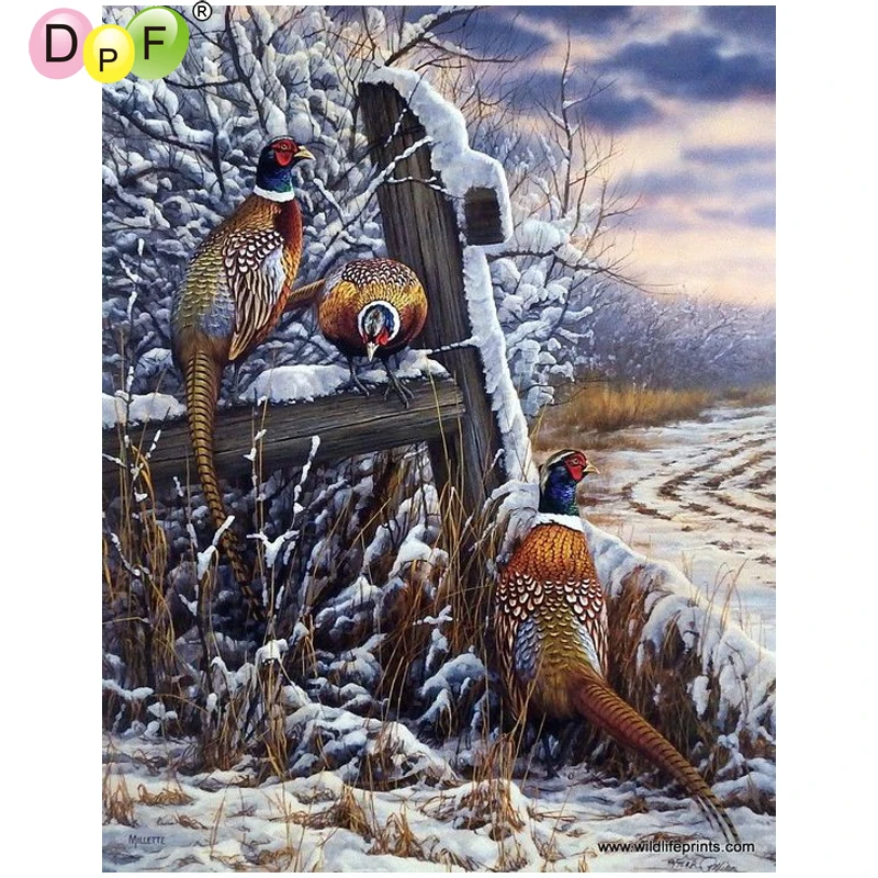 2025.2530.3040.4050.5065