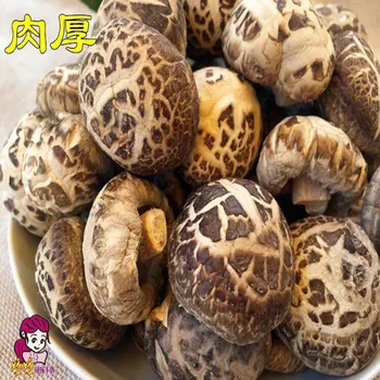 Wild organic dried mushrooms, dried mushrooms to prevent disease, dried mushrooms, natural health foods that delay aging
Wild organic dried mushrooms, dried mushrooms to prevent disease, dried mushrooms, natural health foods that delay aging