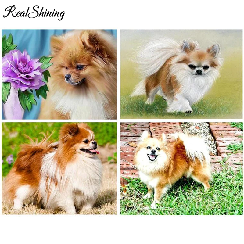 REALSHINING Full square Diamond Painting Pomeranian Dog Handicraft