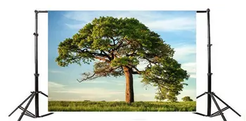 

Photography Backdrop Spring Green Tree Grass Lawn Blue Sky White Cloud Nature Landscape Travel