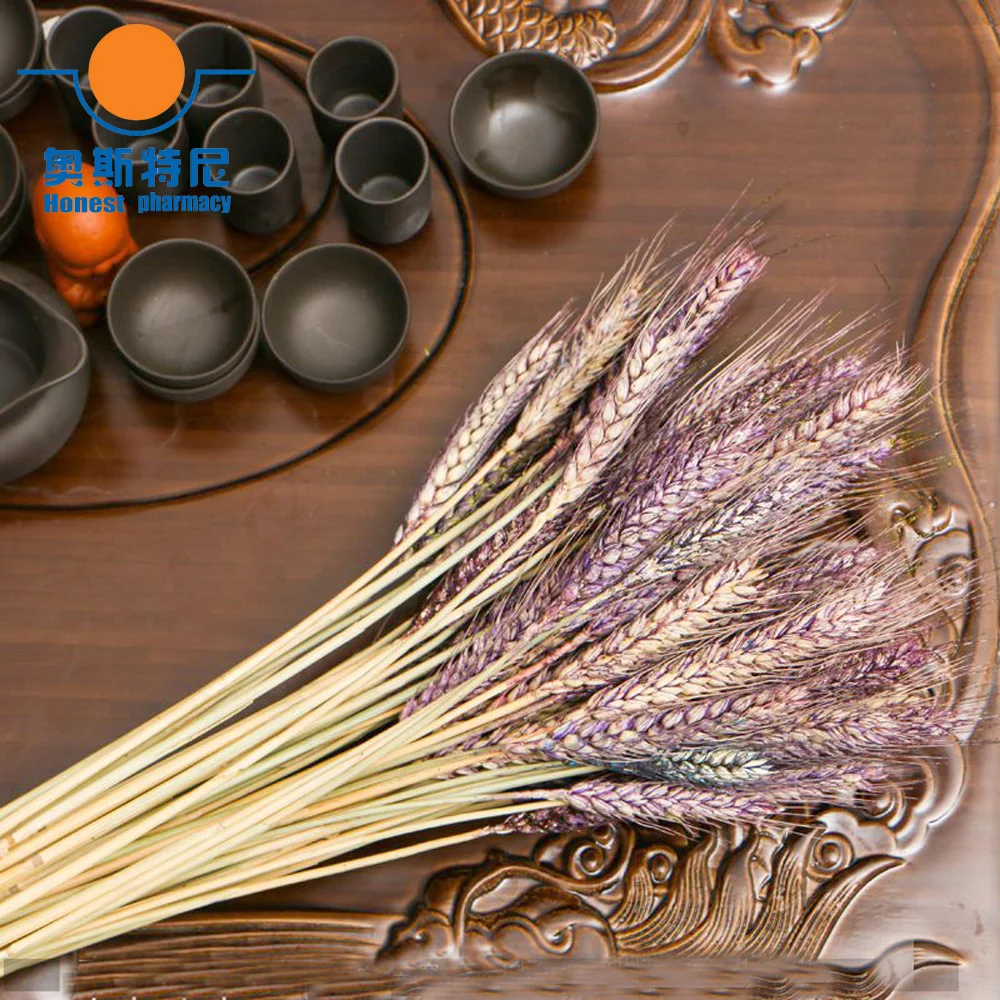 

50pcs natural dried flower bouquets natural purple color dried ear of wheat bouquets wheat ear Bunches