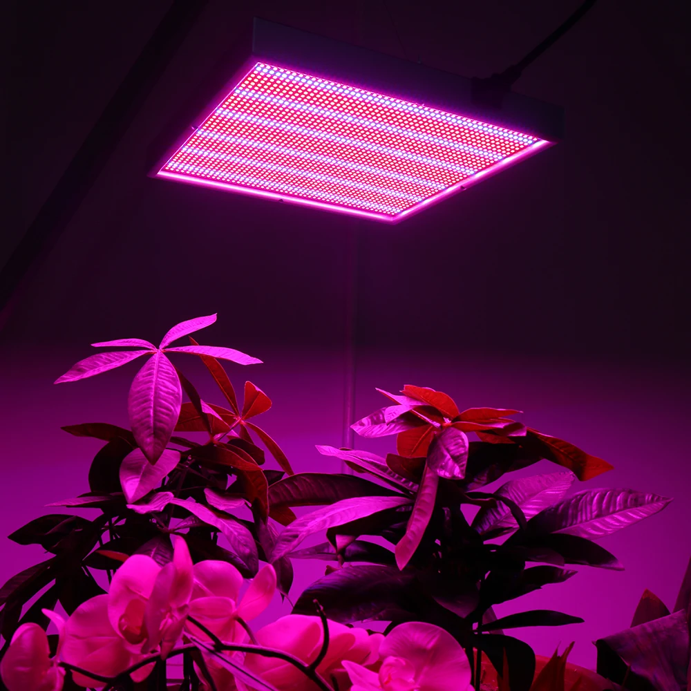 200 Вт лампа для выращивания AC85 265V 2835SMD светодиодный Grow Light красные, синие для Выращивание комнатных растений цветения весь период