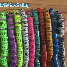 Голубь ног кольца определить dove резинки 8 мм пластика с Al GB кольца голубь учебные материалы алюминиевые Кольца для голуби