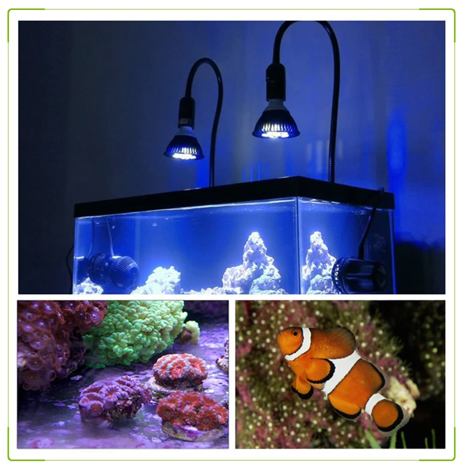 RAYWAY E27 E14 GU10 светодиодный аквариума свет для Аквариума Освещения водных растений и кораллы растут огни 3 синий и 2 Белый лампочки