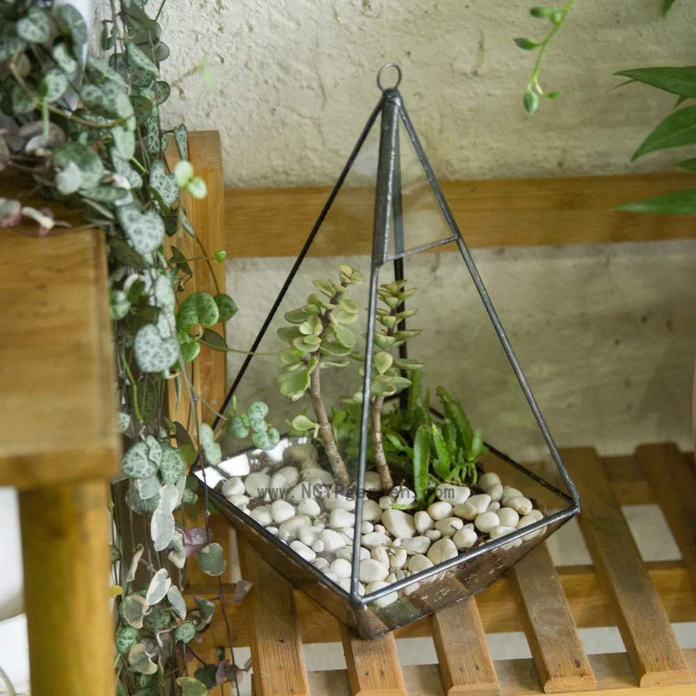 Online Buy Wholesale glass terrarium from China glass terrarium
