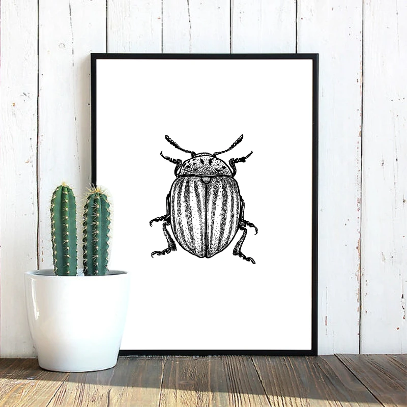 insect illustration prints