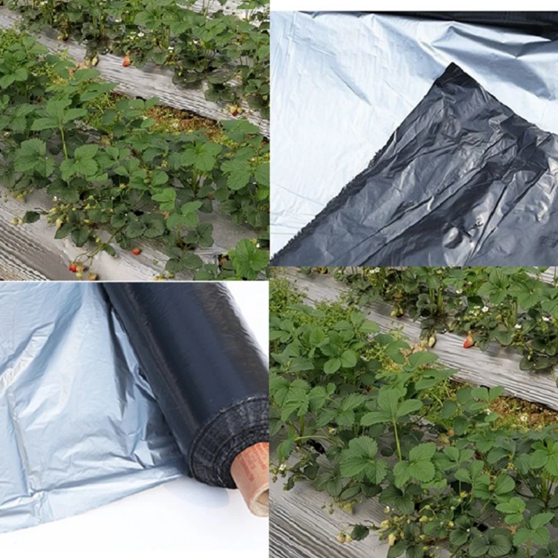 TB2nt8BsrBnpuFjSZFGXXX51pXa_!!209487919