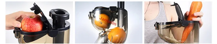 fruit juicer price