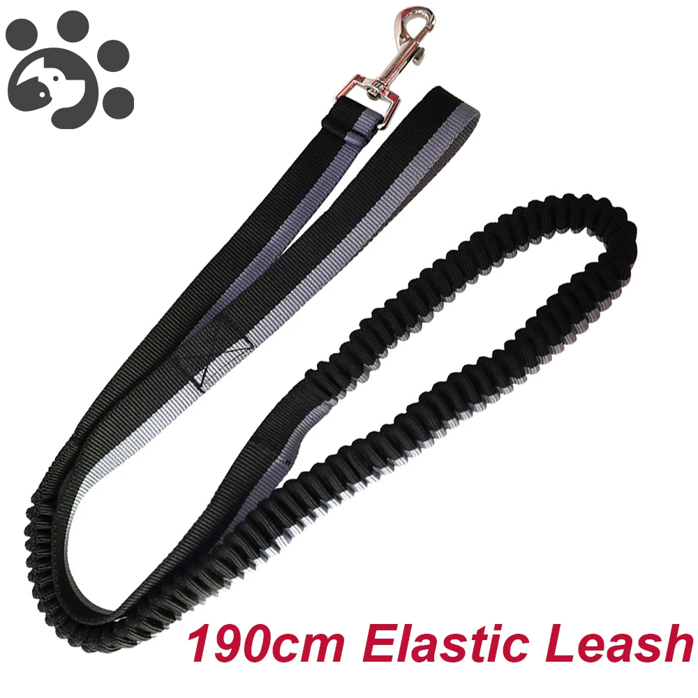 

Elastic Dog Leash Adjustable Pets Leashes for Large Small Dogs Leash Harness Outdoor Running Dog Collar Pet Product MP0009