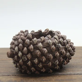 

Home Garden Flower Pot Decorating Plant Pots For Flowers Small Size Desktop Decor