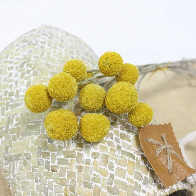 JAROWN Natural Dried Flowers Gold Ball Eternal Flores For Wedding DIY Bouquet Decorations Home Flower Arrangement Art (15)