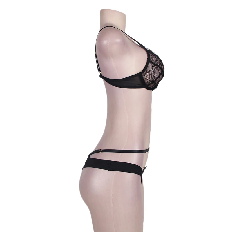 R80293P (1)