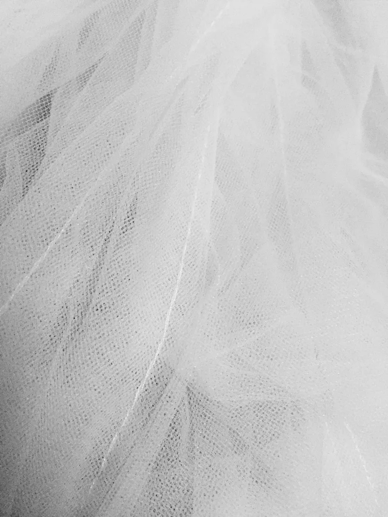 gestantes fotografia
