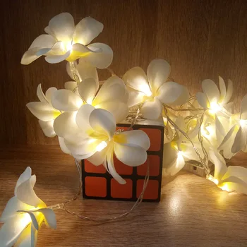

Creative DIY frangipani LED String Lights, AA Battery floral holiday lighting, Event Party holiday decoration,Baby Night Light