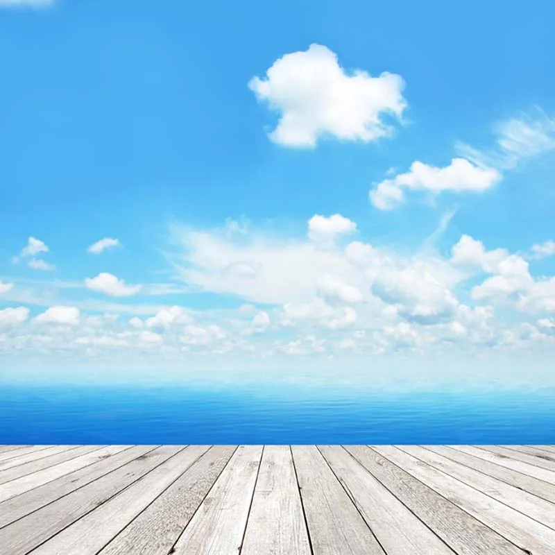

Thin Vinyl seaside beach backdrop for photo studio outdoor background backdrops F-2639