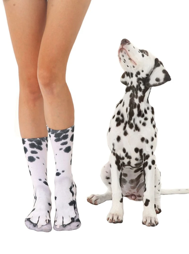 dalmation-dog_1024x1024