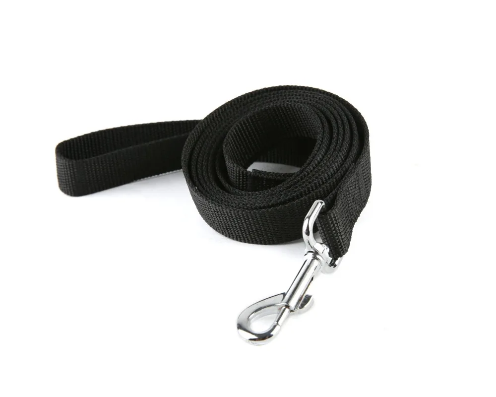 61IWek7dW7L._SL1500_