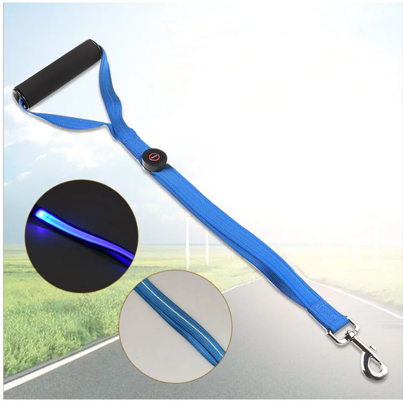 

Let's Pet Dogs Nylon LED Flashing Leash with Handle Double Thickening Safe Comfortable Reflective Leash for Medium&Large Pets