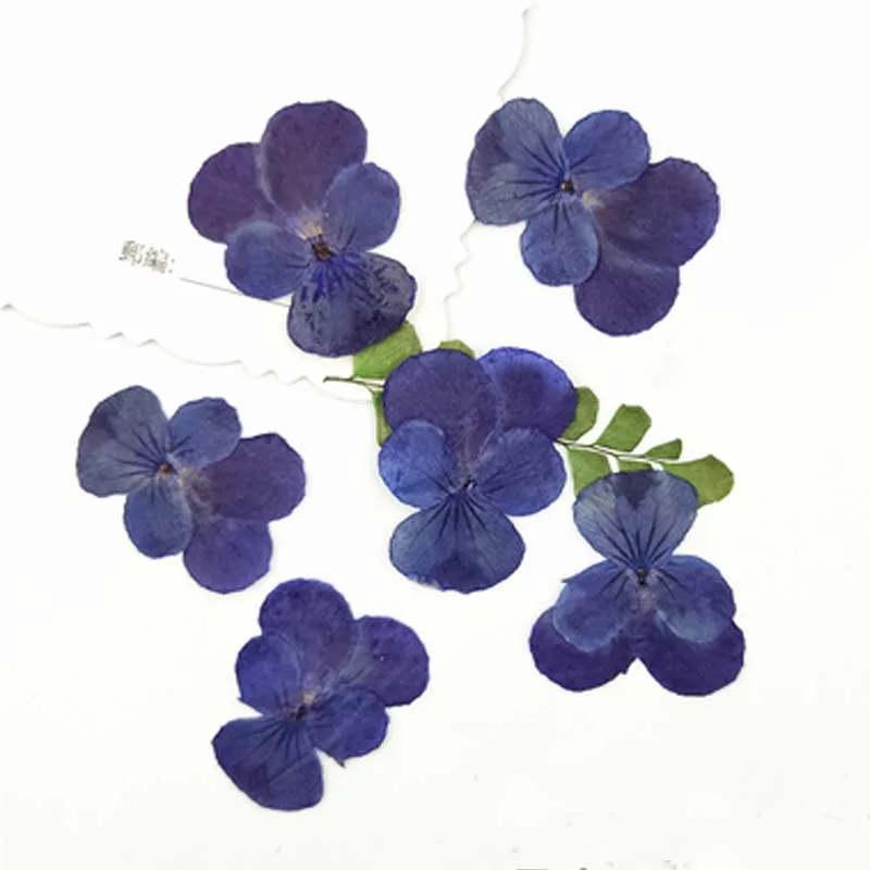 深紫色1