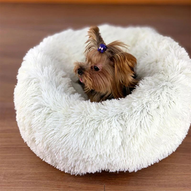 9576417620_1026880003.400x400_副本