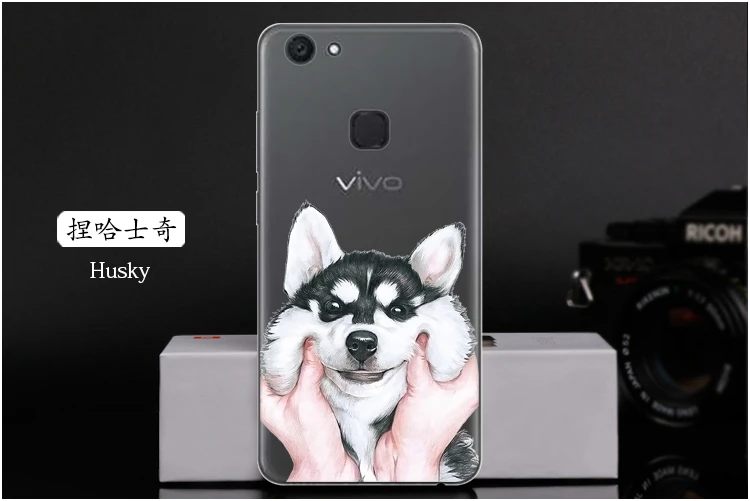  Husky