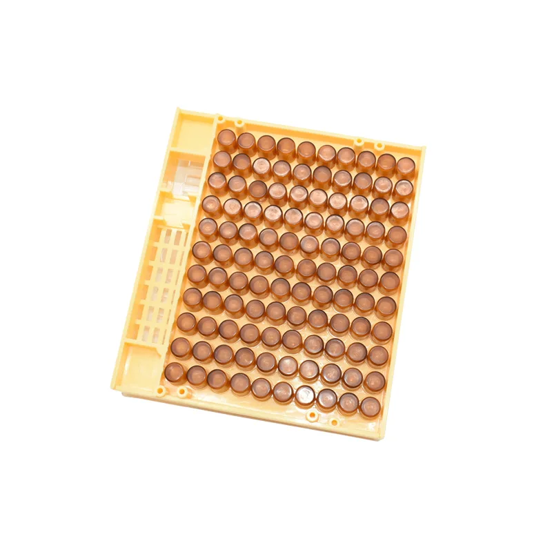 

Beekeeping tool combination Beekeeping Queen Rearing Cupkit Box 120x Brown Cell CupsSystem Cupularve Tools Bee Keeper Tools