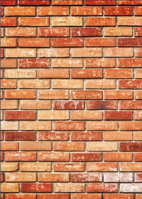 

SHANNY Vinyl Custom Photography Backdrops Prop Wall and floor theme Photo Studio Background SYO-06