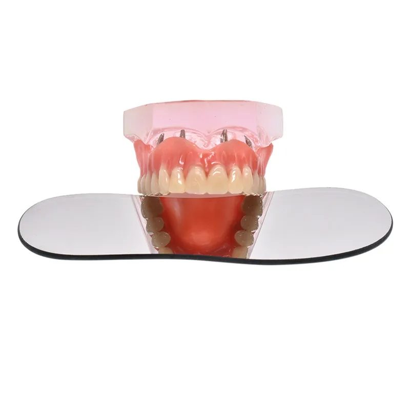 Miroir Réflecteur Intra-oral Dentaire - Double Face - En Acier Inoxydable - Pour Photographie Et Examen Orthodontique - NEUF