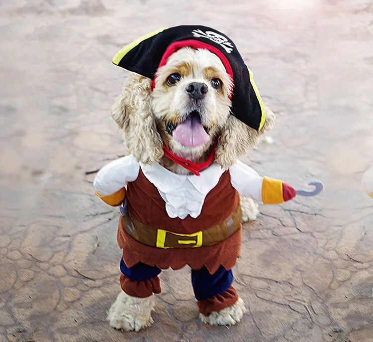 Новейшая забавная одежда для домашних животных, костюм пирата для Хэллоуина, костюм для собак Corsair, одежда для собак с черепом и шляпой PD42