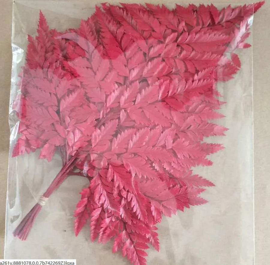 --dark red