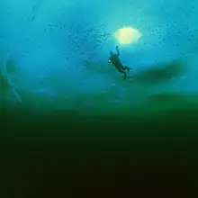 5 м кабель 432 шт. SMD2835 350 Вт 12 В или 24 В Светодиодный лампа для подводного плавания подводная лодка