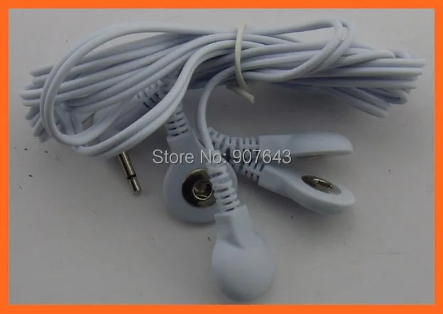 SL370771.JPG