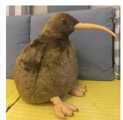 12cm 30cm 50cm Cm Cute Kiwi Bird Plush Toy Stuffed Doll Bird Simulation Animal Baby Doll Kids Chritmas Gift Stuffed Plush Animals Aliexpress 12cm 30cm 50cm Cm Cute Kiwi Bird Plush Toy Stuffed Doll Bird Simulation Animal Baby Doll Kids Chritmas Gift Stuffed Plush Animals Aliexpress