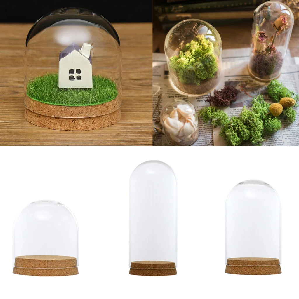 

3Pcs Desktop Glass Dome Cover Shade Shield Cloche Bell Jar Landscape Terrariums with Wood Cork for DIY Micro Landscape Supplies