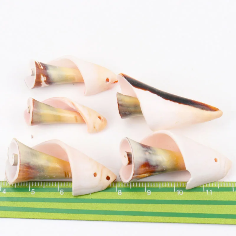 

Natural Spiral Shell SeaShells Zeeschelp for DIY handmade Home decoration jewelry making Scrapbooking Craft 5pcs 30-40mm