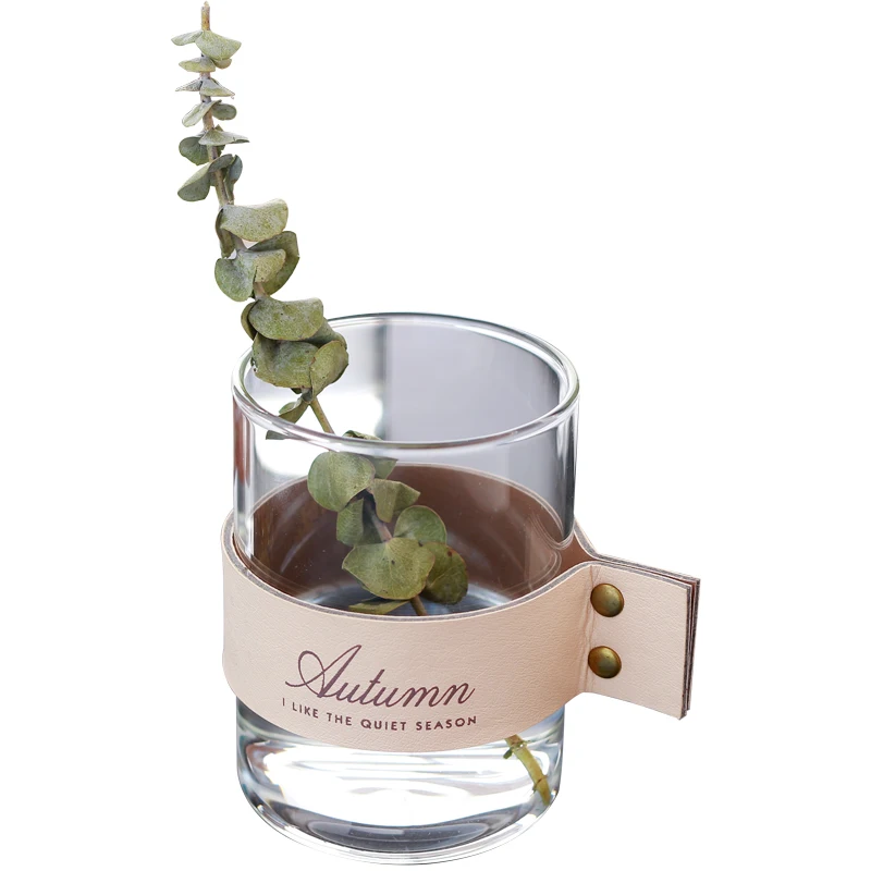 

Creative Nordic style Hydroponic plant Glass bottle living room Dried flowers Decoration Simple container Transparent vase
