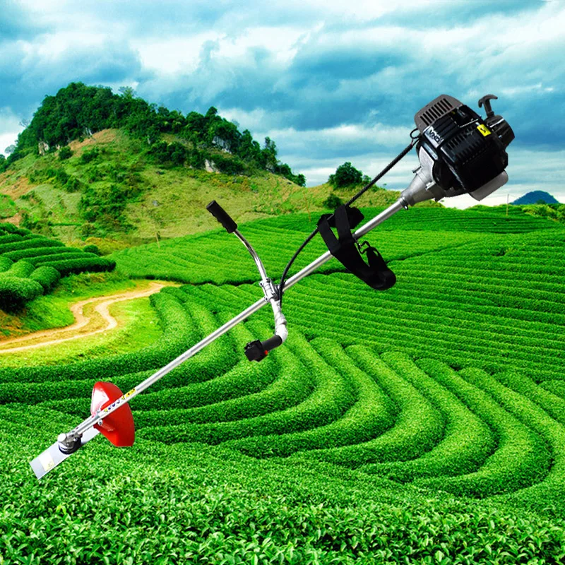 Briggs And Stratton 500e Carburetor Carburetor 6010 Parts Trimmer