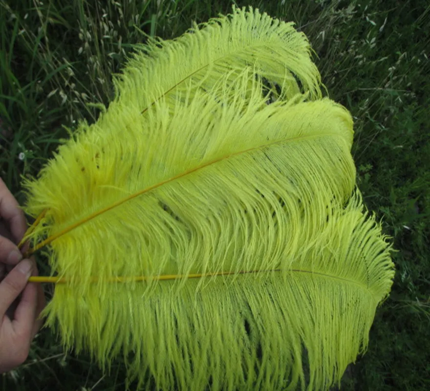 

Wholesale beautiful yellow ostrich feathers 10pcs 20-22 inches / 50-55 cm Weddings & Celebrations feathers
