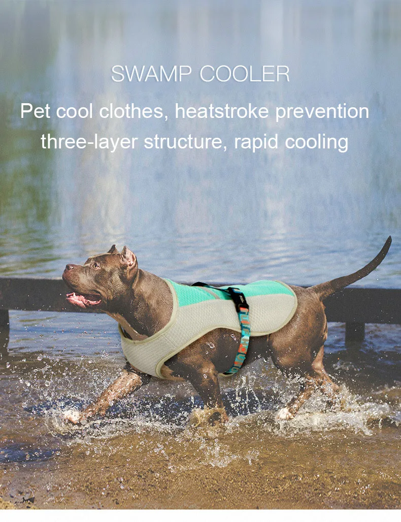 best summer dog harness