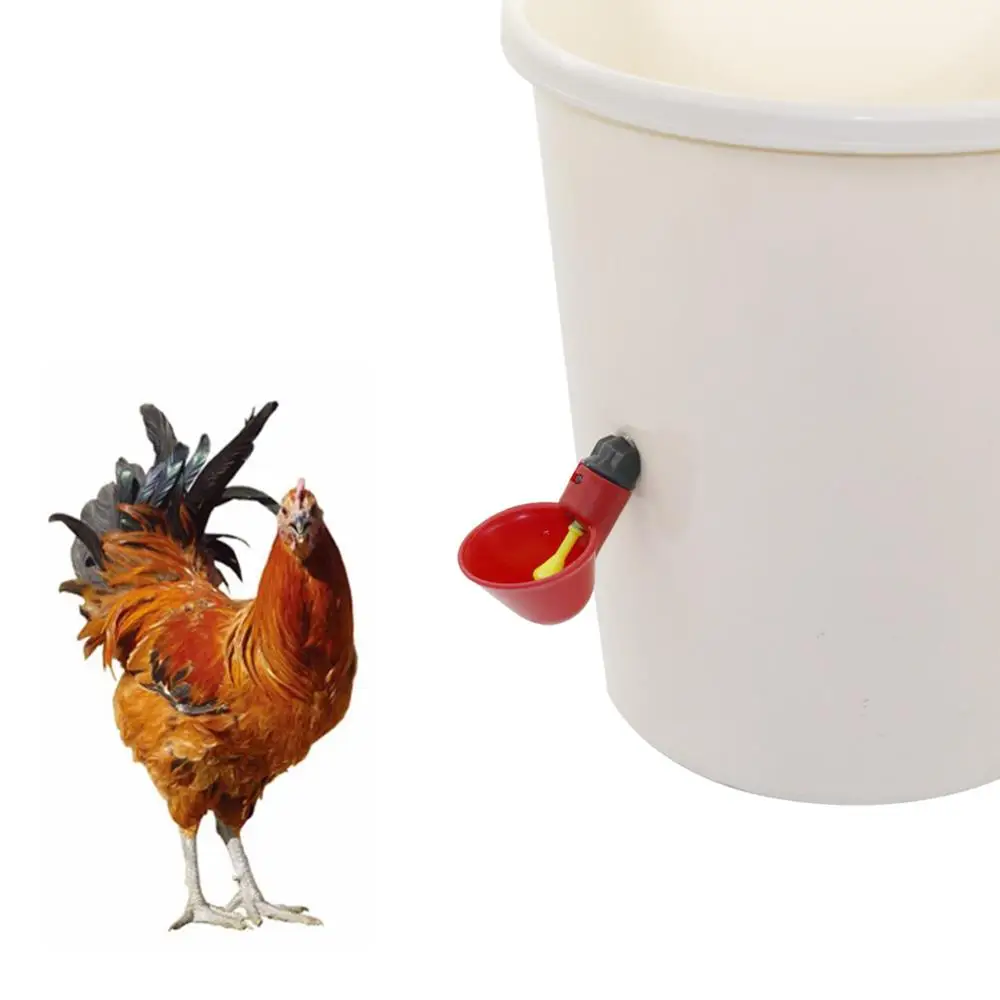 100 шт. автоматический; для курицы чашка для питья с винтами поилка для перепёлок ниппель Поильник для птиц фонтаны фермы животных полив