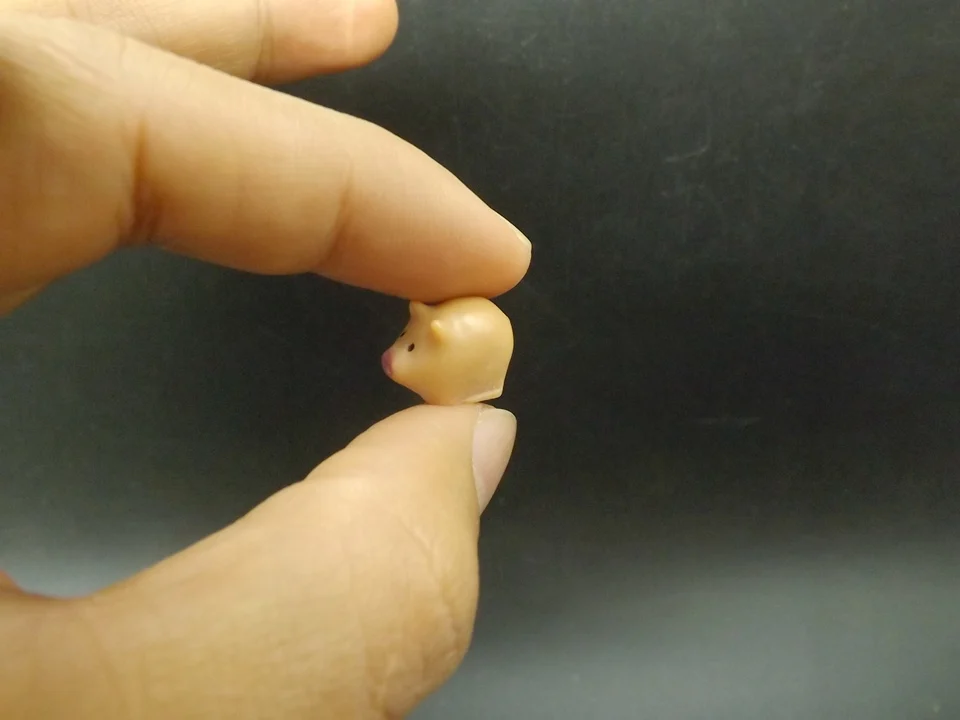 Tiny-S004Pig (3)