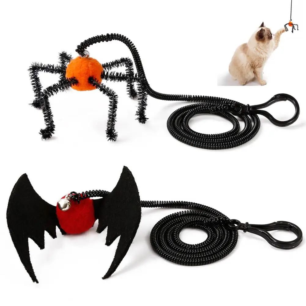 Милый кот котенок паук летучая мышь пружины домашних животных палец