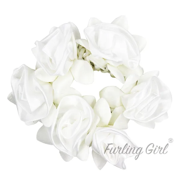 IMG_2812. White