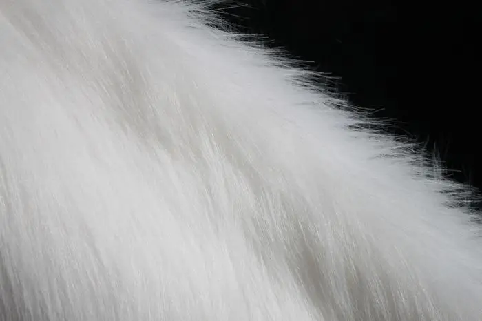 Белый одноцветный мохнатый искусственный мех ткань(мех с длинным ворсом) Костюмы волосы 3" x 60" продается двором