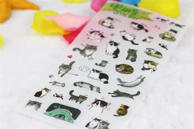 2924484906_1536718367