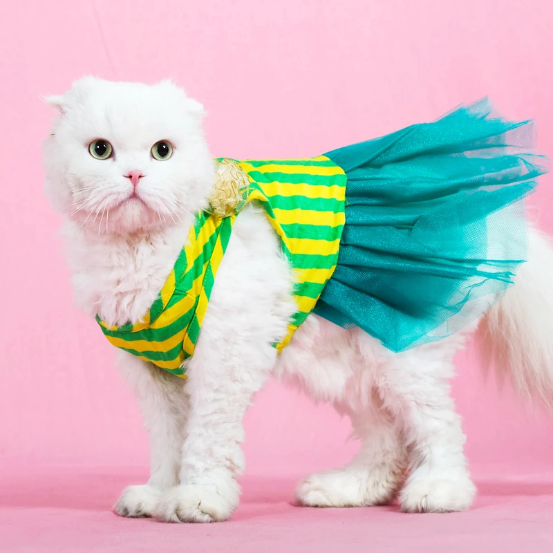  Cat  dress  cat  Princess wedding  dress  summer clothes cat  