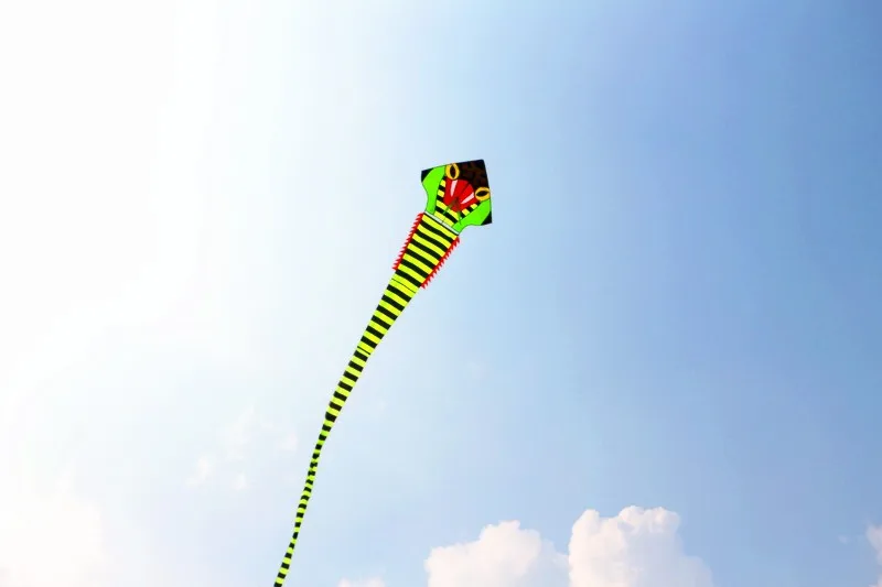 Высокого качества 40 м Кобра воздушный змей с ручкой линии супер змей Летающий змей весь воздушный змей летающие игрушки parafoil китайский дракон воздушный змей