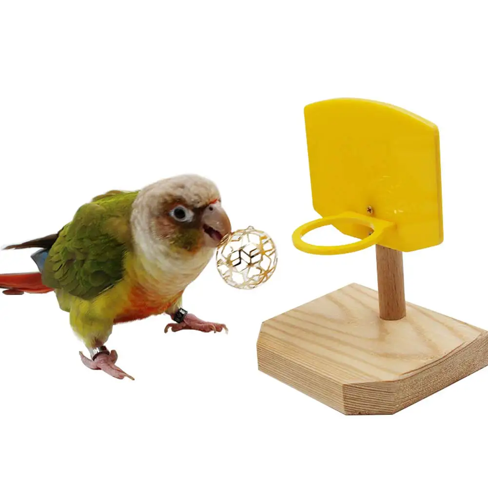 parakeet ball toys