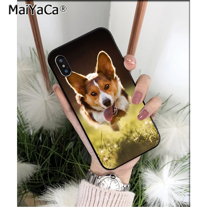 Anime Corgi dog