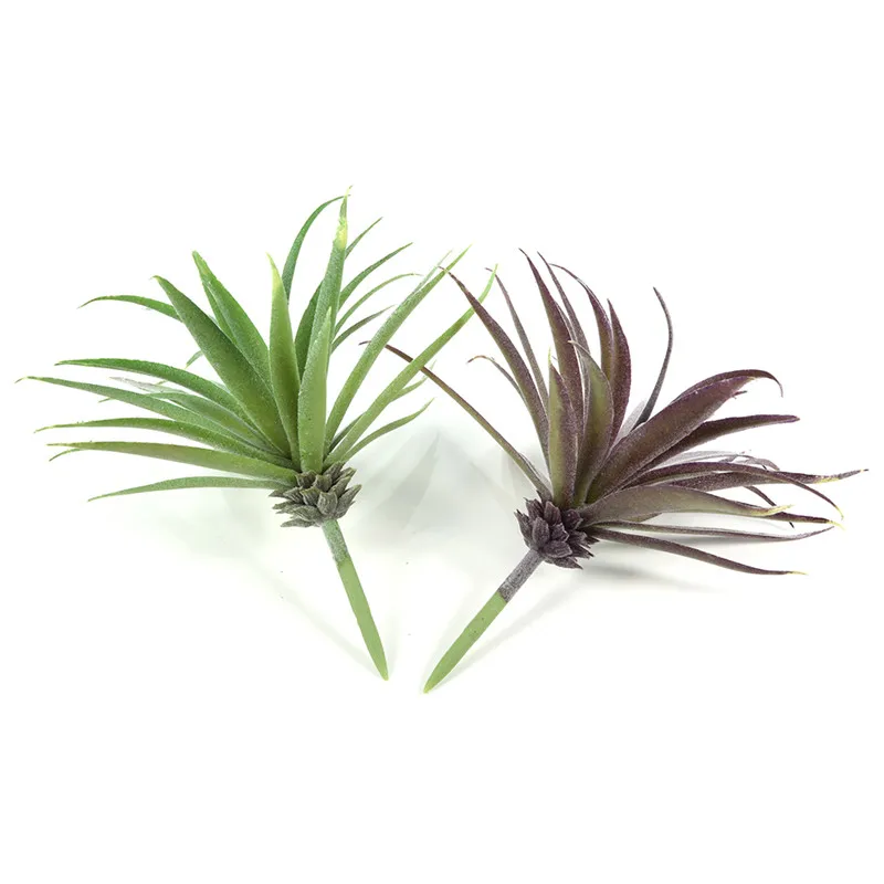 Искусственные растения зеленый фиолетовый суккуленты моделирования Растения украшение дома цветок весенней травы Пластик растений